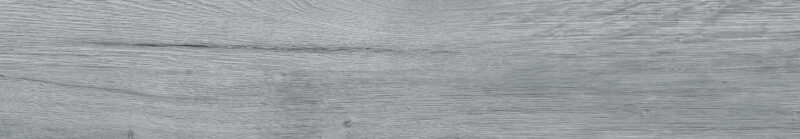Alstonia Grey