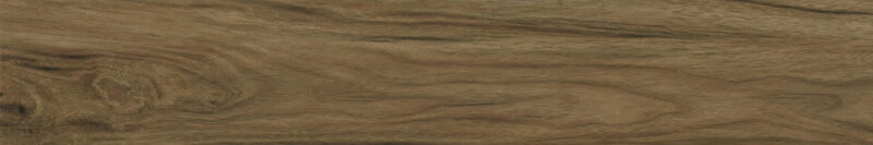 BEECH WENGE