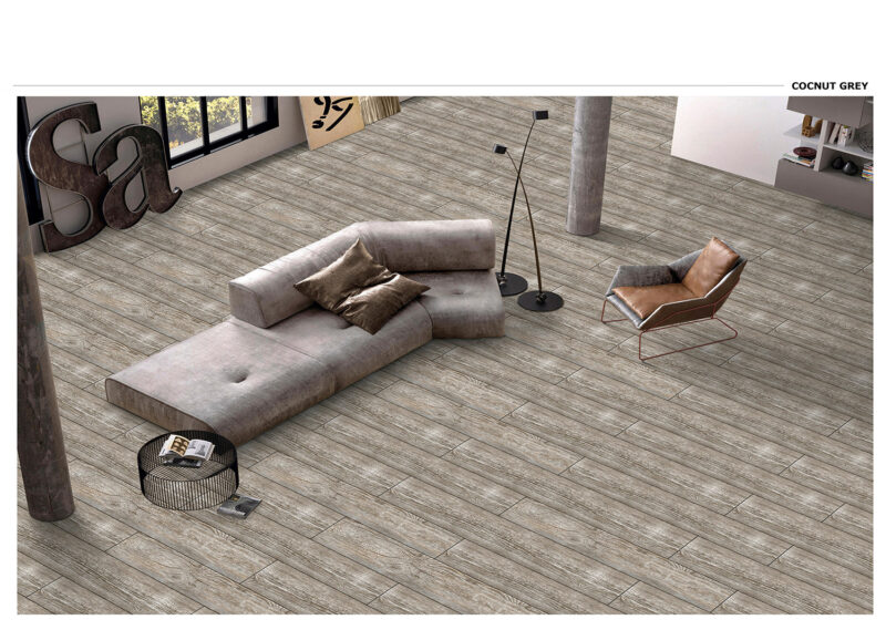 COCNUT GREY - Image 2